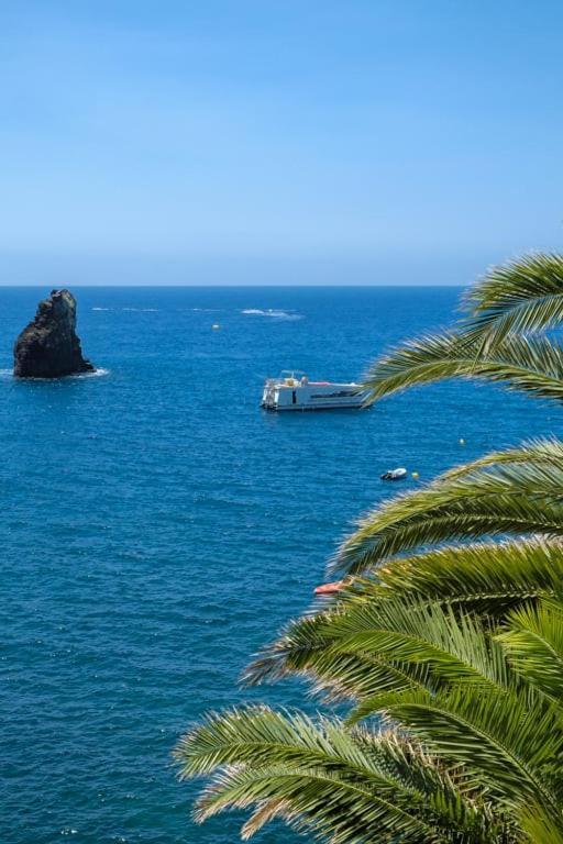 Apartamento Guestready - A Sunny Delight In Funchal Exterior foto